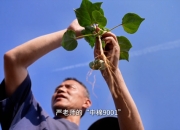 开云下载-河南科技队在第四节逆袭，赢得胜利