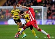 开云官方app入口-南安普顿-不敌对手，状态趋于稳定