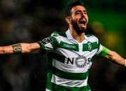 开云下载-奥地利队闪耀舞台，战胜强手