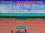 开云体育入口-关于巴基斯坦球队壮举胜出，将继续参加比赛的信息