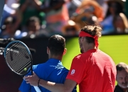 开云体育在线-德国网球队完胜欧洲网球队，德约科维奇统治全场的简单介绍