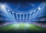 开云体育中国官网-冰与火的较量，芬兰强势晋级，世界排名争夺战迎来焦点对决