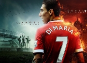 开云下载-戴维斯杯鏖战与澳网新章，蒂姆如何刷新纪录重塑网球史