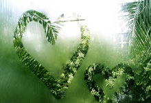 开云体育入口-关于德国网球队翻盘澳大利亚网球队，穆雷统治全场的信息