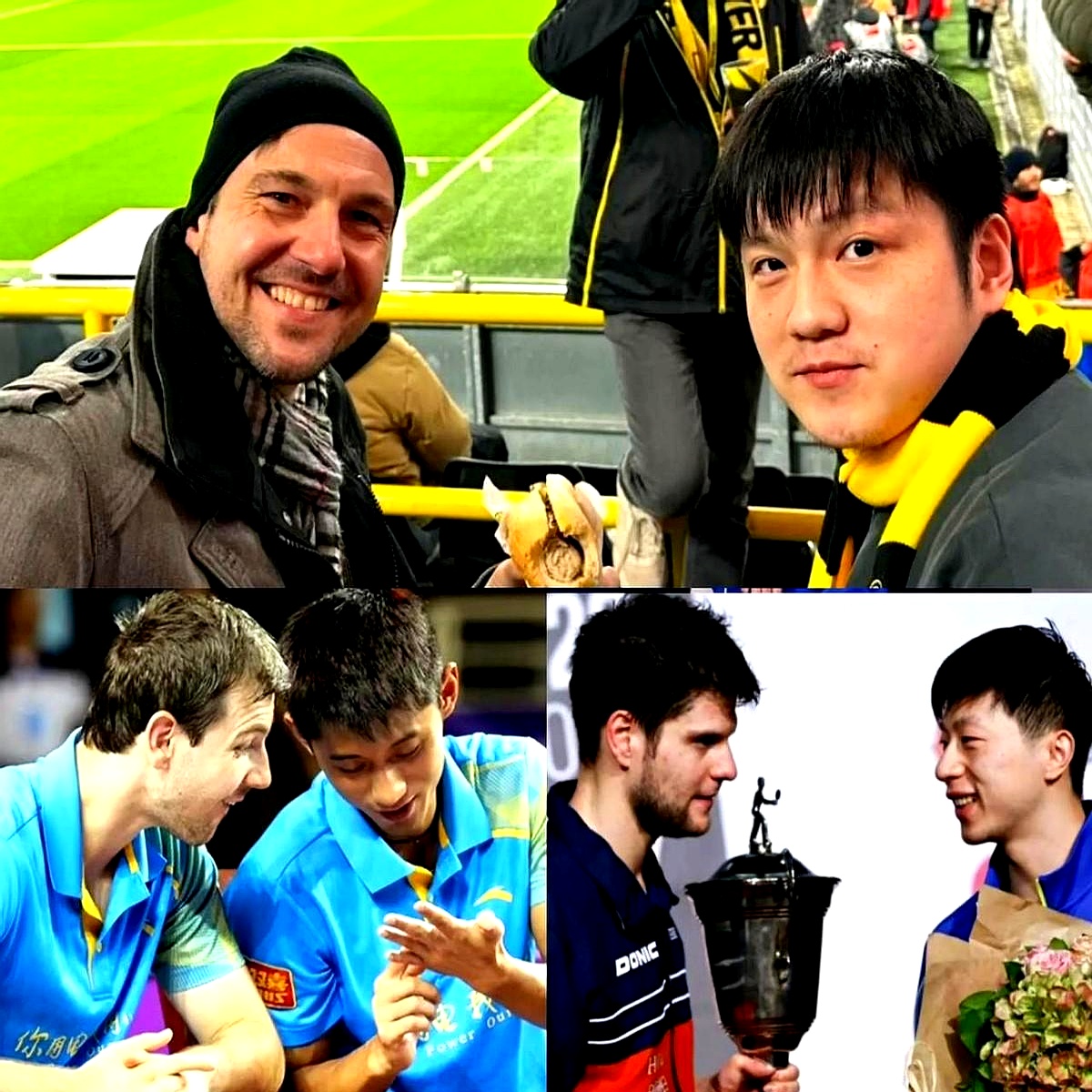 比利时乒乓球队横扫日本乒乓球队,波尔惊艳世界的简单介绍 比利时乒乓球队横扫日本乒乓球队,波尔惊艳世界的简单介绍