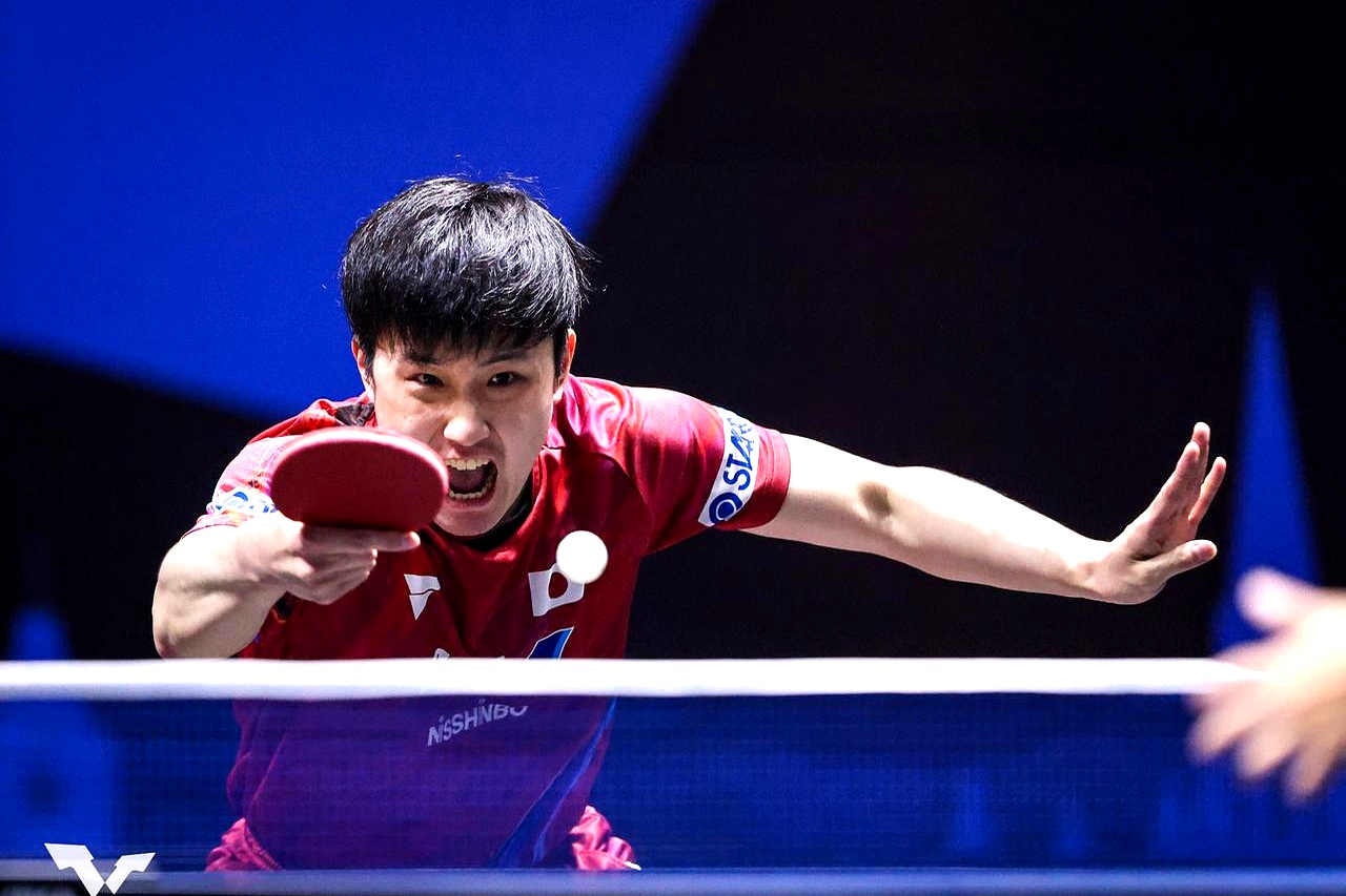 关于奥地利乒乓球队强势波兰乒乓球队,张本智和统治全场的信息 关于奥地利乒乓球队强势波兰乒乓球队,张本智和统治全场的信息