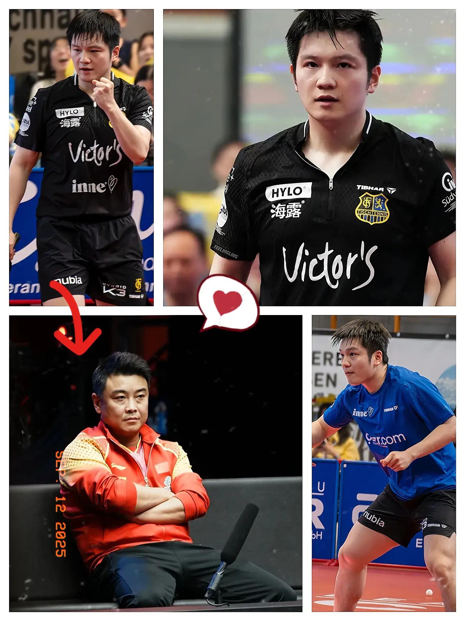 瑞典乒乓球队强势德国乒乓球队,王皓打破历史纪录的简单介绍 瑞典乒乓球队强势德国乒乓球队,王皓打破历史纪录的简单介绍