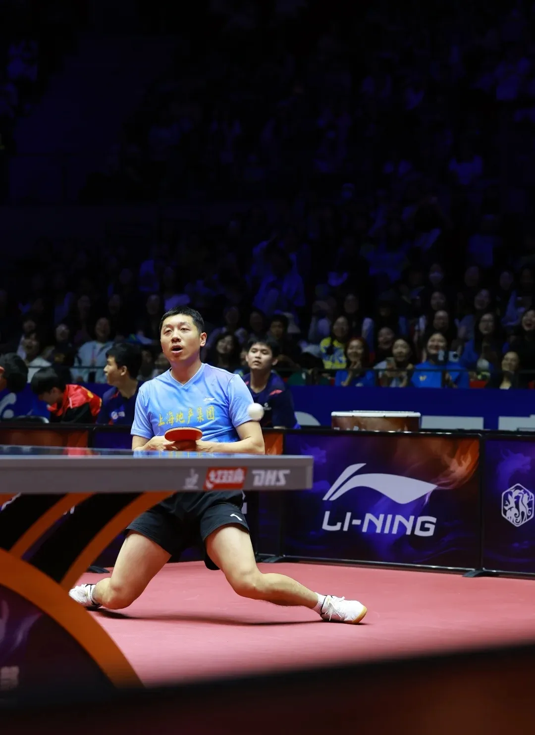 法国队险胜英格兰队，许昕高光表现的简单介绍